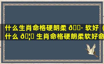 什么生肖命格硬朗柔 🌷 软好（什么 🦊 生肖命格硬朗柔软好命）